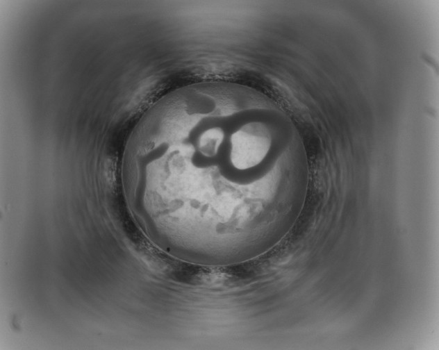 X0000099230695200805011137