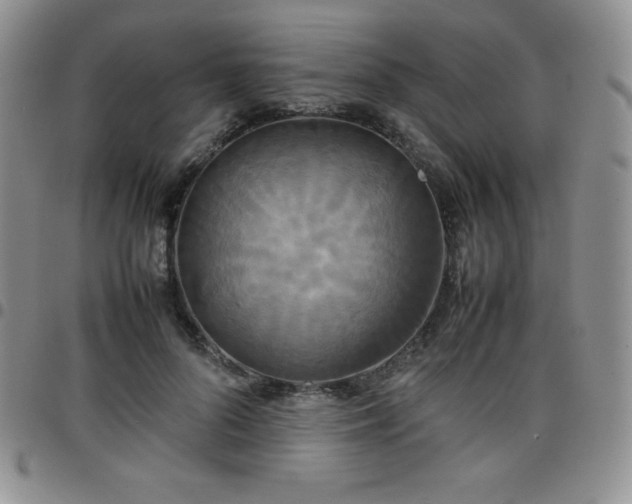 X0000099230696200805011137