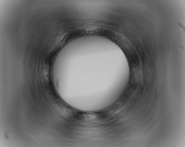 X0000099230698200805011137