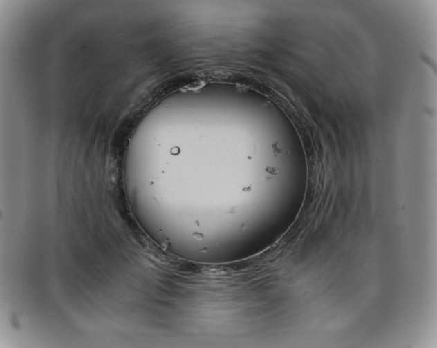 X0000099230701200805011137