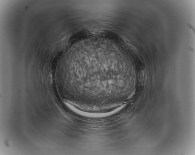 X0000099230703200805011137