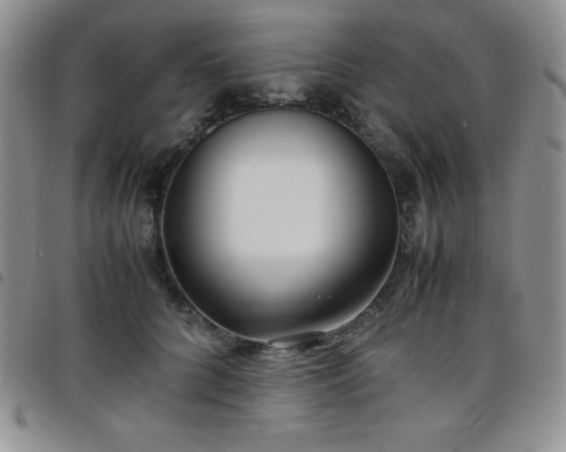 X0000099230704200805011137