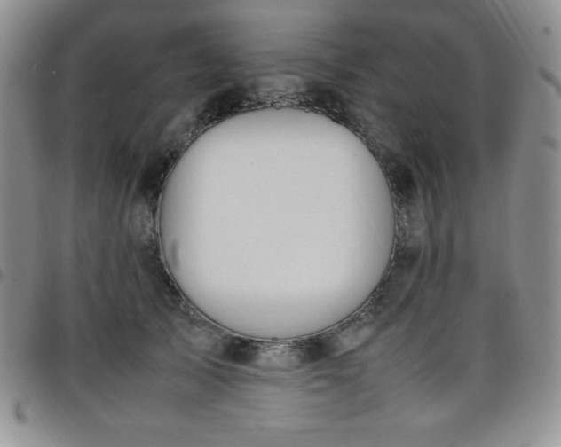 X0000099230705200805011137