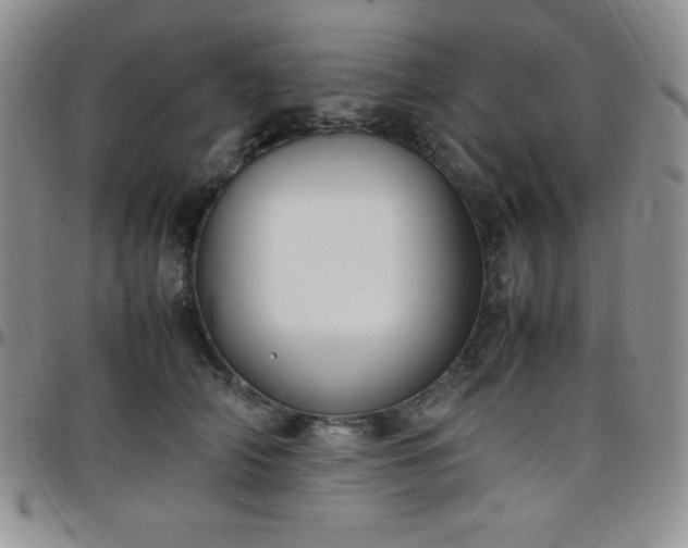 X0000099230706200805011137