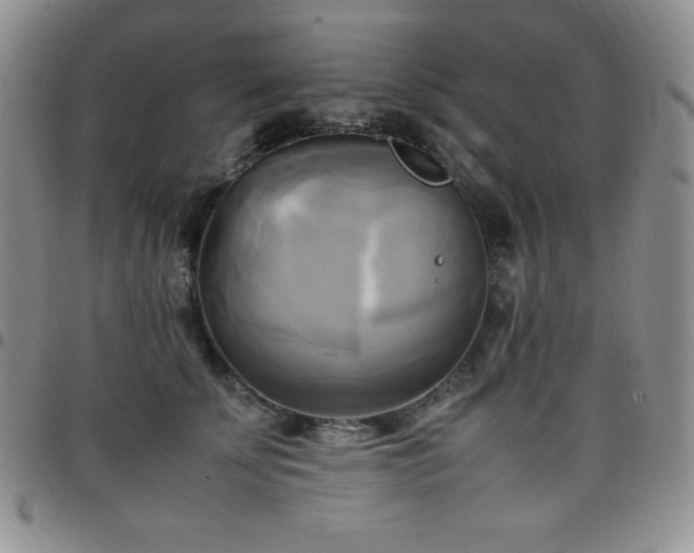 X0000099230707200805011137