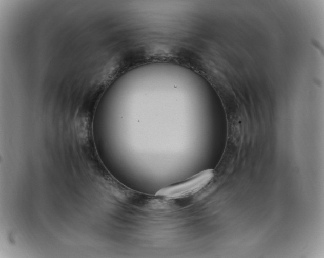 X0000099230708200805011137