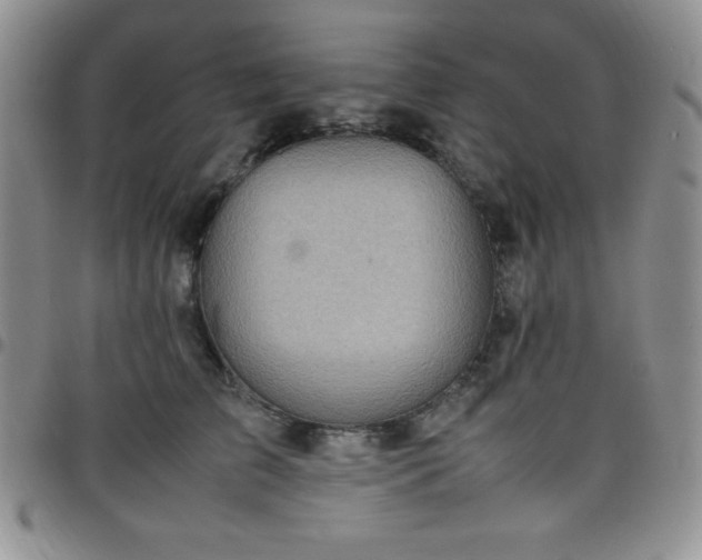 X0000099230709200805011137