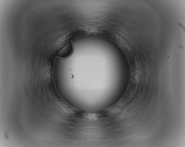 X0000099230710200805011137