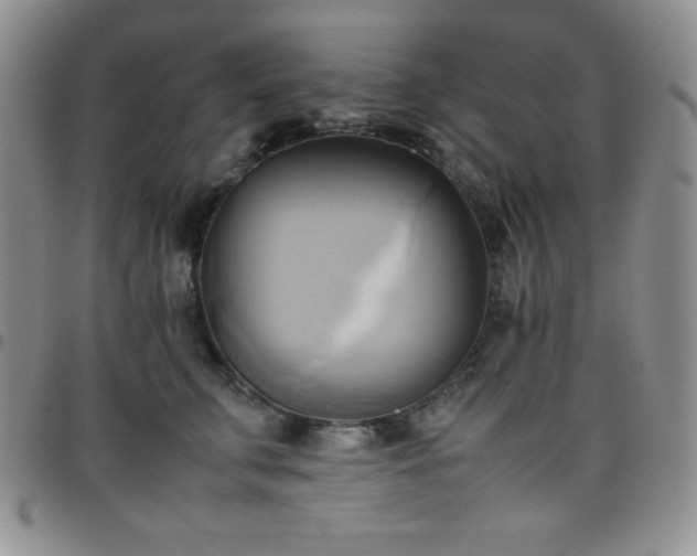 X0000099230711200805011137