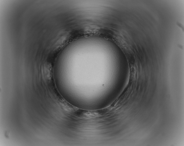 X0000099230712200805011137