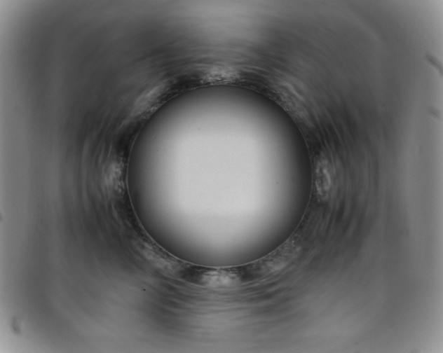 X0000099230714200805011137