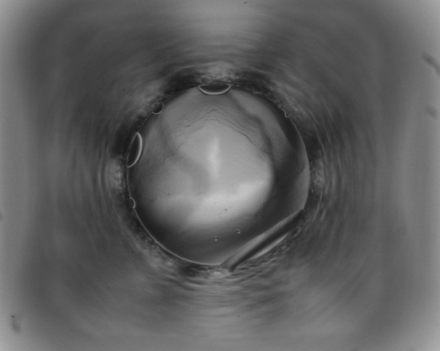 X0000099230715200805011137