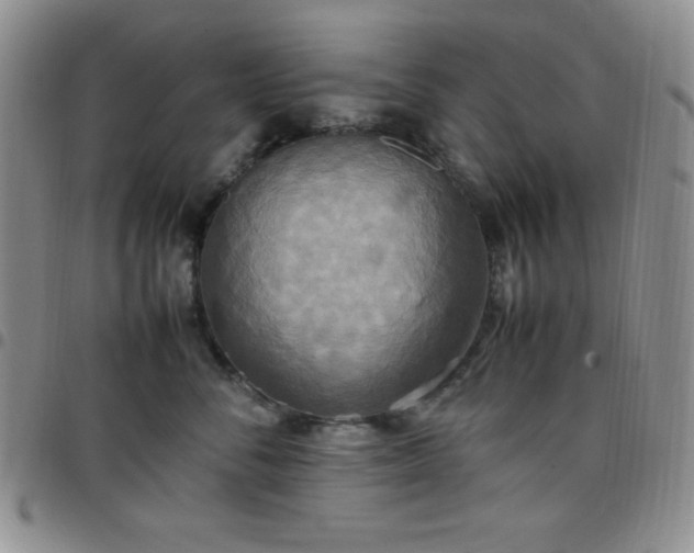 X0000099230716200805011137