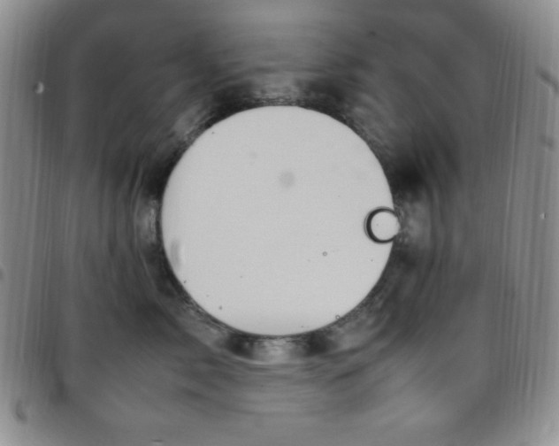 X0000099230717200805011137