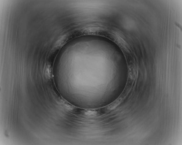 X0000099230718200805011137