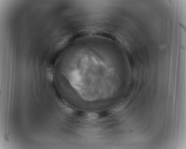 X0000099230719200805011137