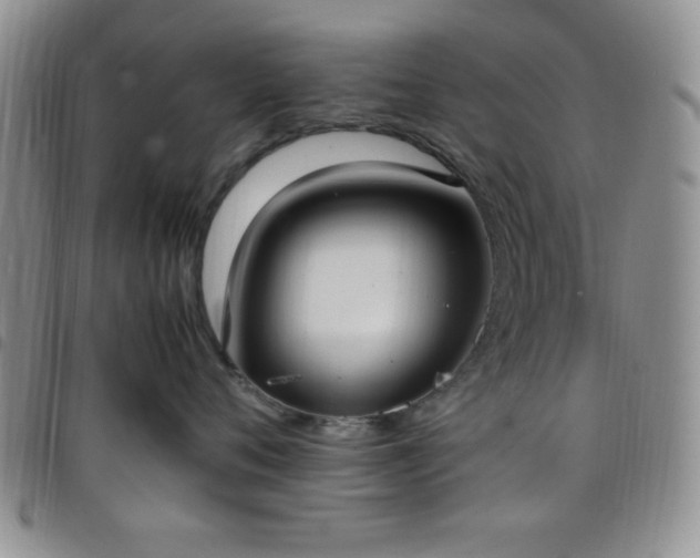 X0000099230720200805011136