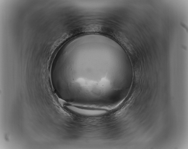 X0000099230721200805011136