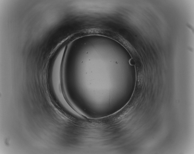 X0000099230722200805011136