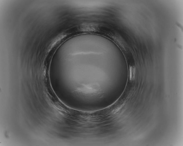 X0000099230723200805011136