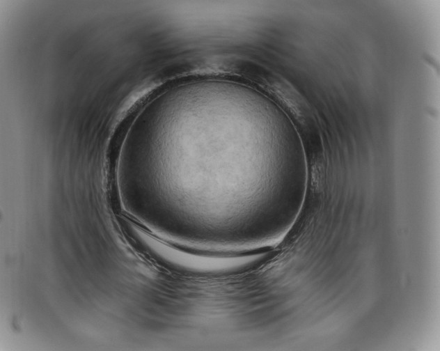 X0000099230724200805011136