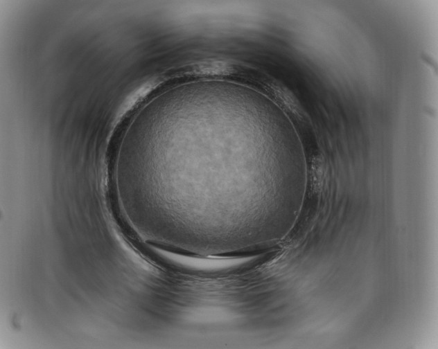 X0000099230726200805011136