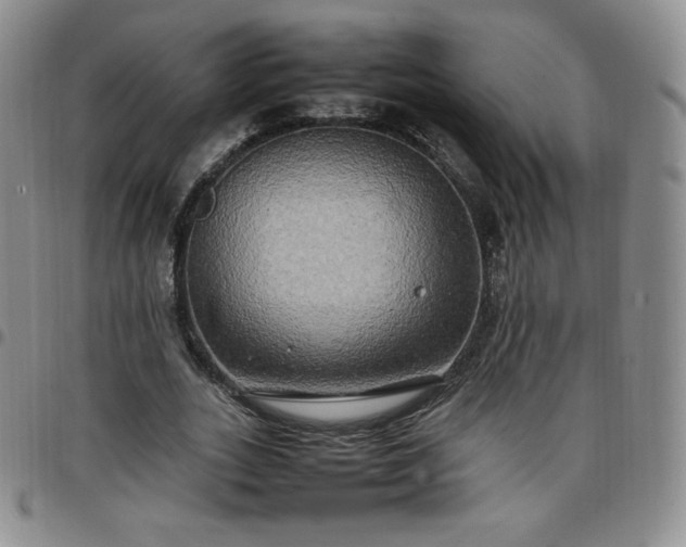 X0000099230727200805011136