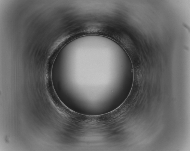 X0000099230728200805011136