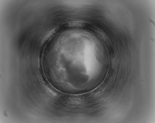 X0000099230729200805011136