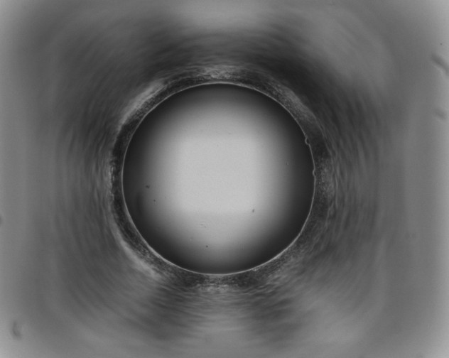 X0000099230730200805011136