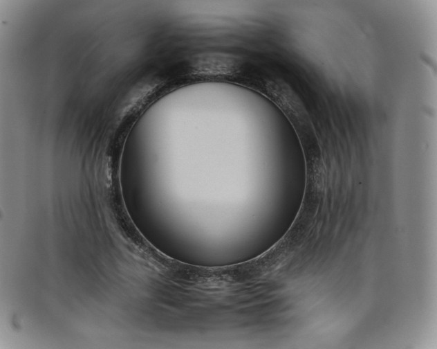 X0000099230731200805011136