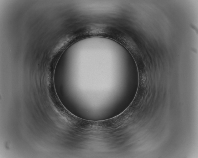 X0000099230732200805011136