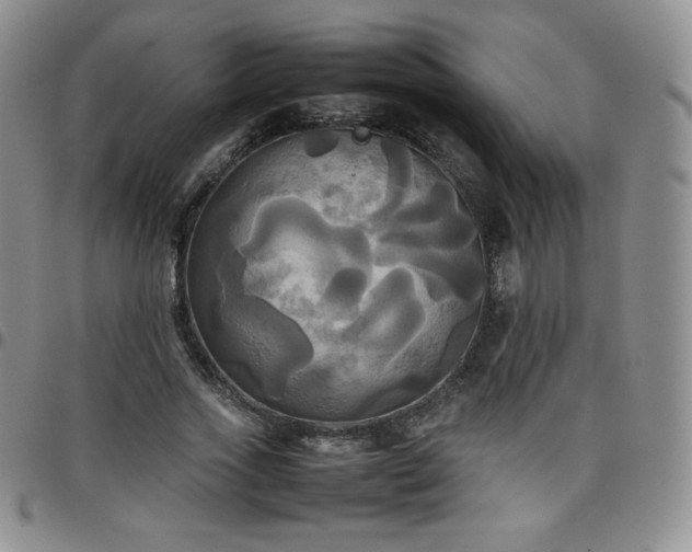 X0000099230733200805011136