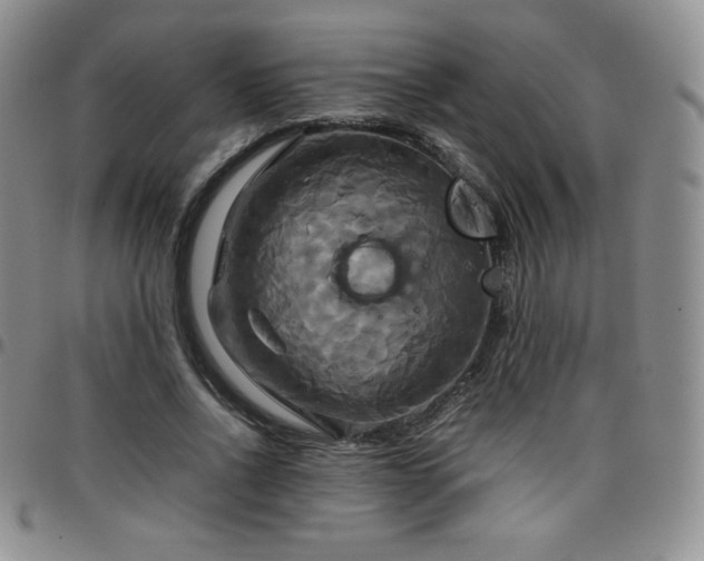 X0000099230734200805011136