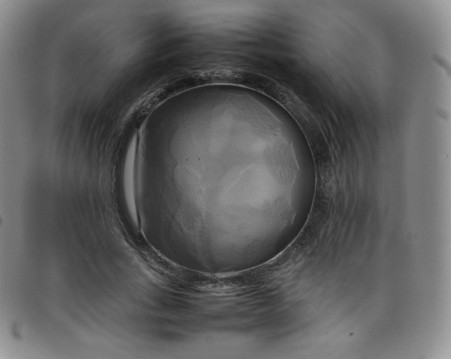 X0000099230735200805011136