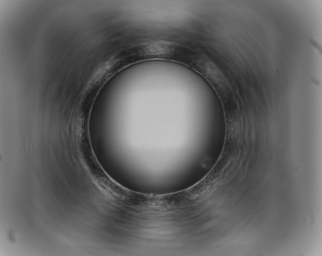 X0000099230736200805011136