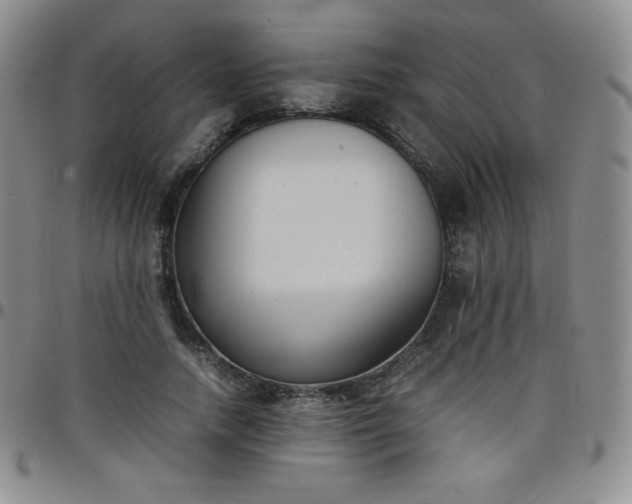 X0000099230738200805011136