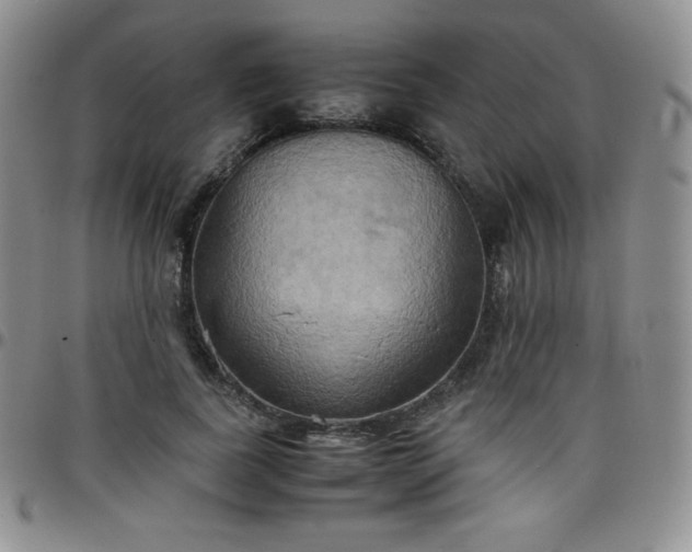 X0000099230739200805011136