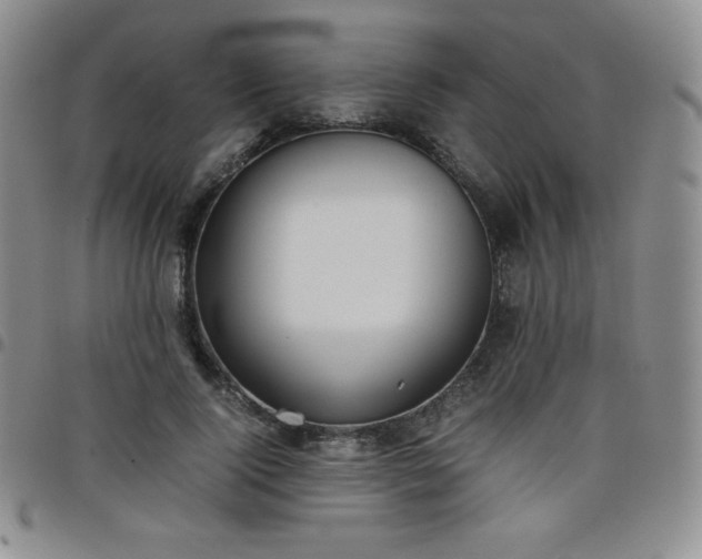 X0000099230740200805011136