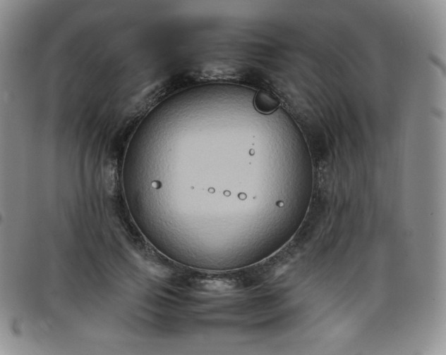 X0000099230741200805011136