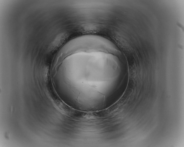 X0000099230742200805011136