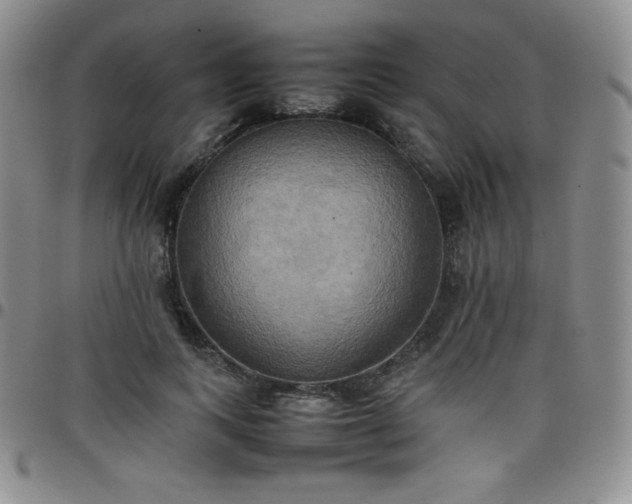 X0000099230743200805011136