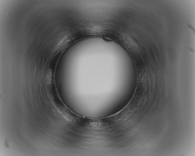 X0000099230744200805011136