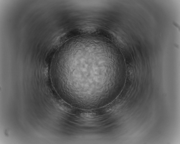 X0000099230745200805011136