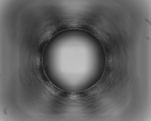 X0000099230746200805011136