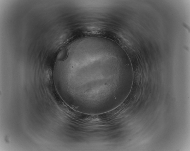 X0000099230747200805011136