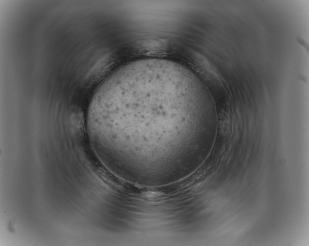 X0000099230748200805011136