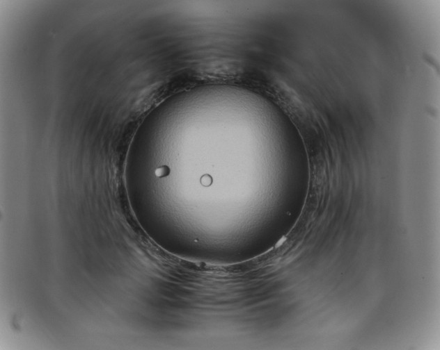 X0000099230749200805011136