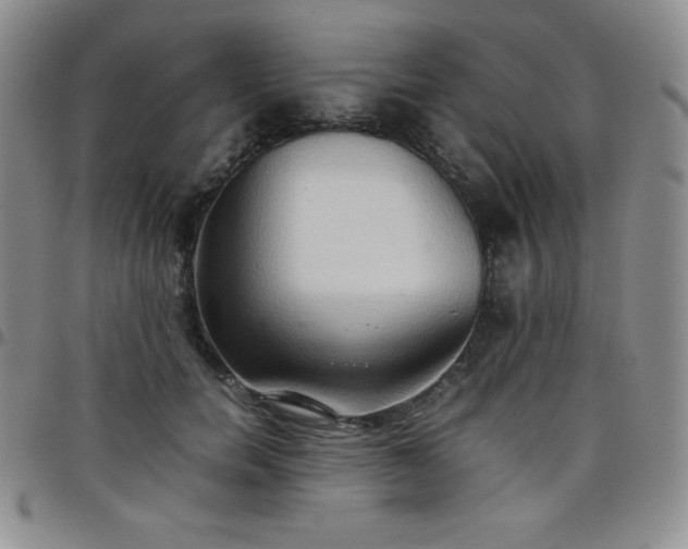 X0000099230750200805011136