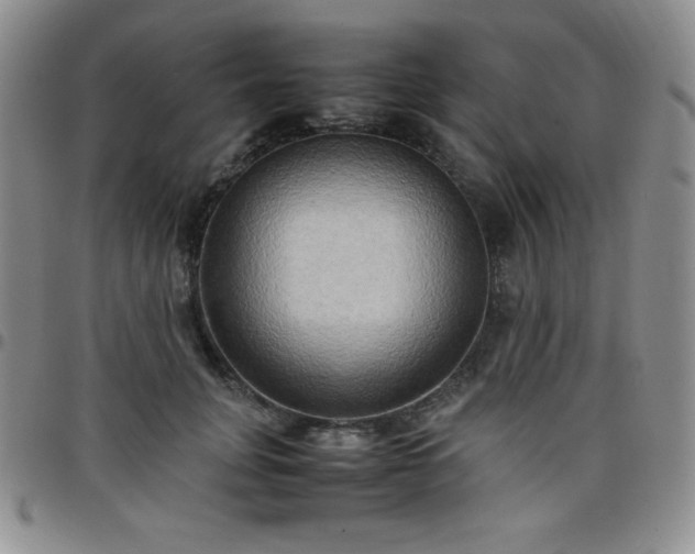 X0000099230751200805011136